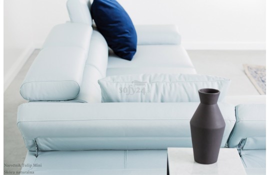 Regulowane zagłówki