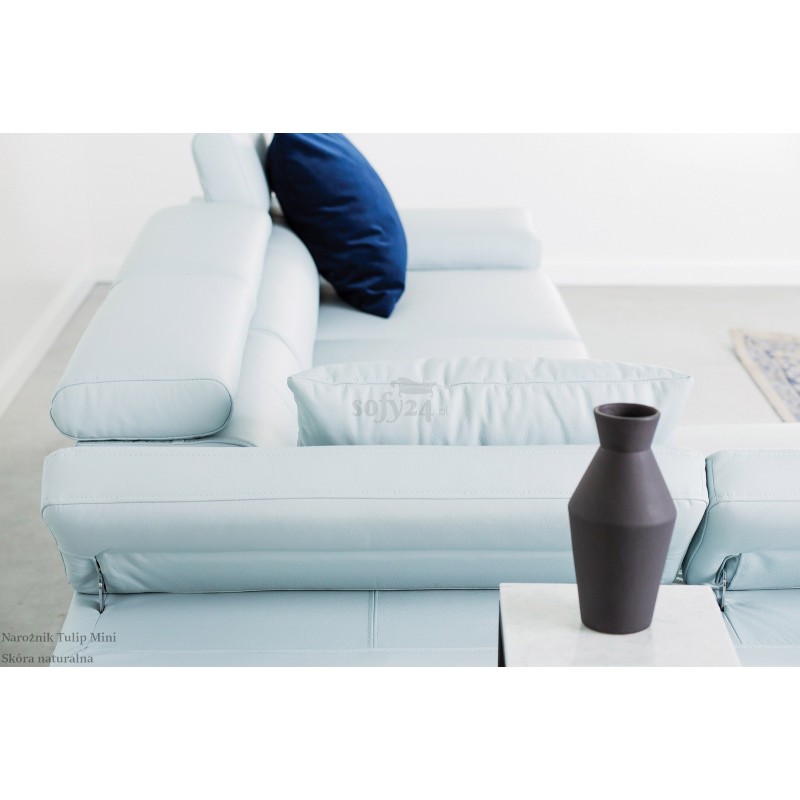 Regulowane zagłówki