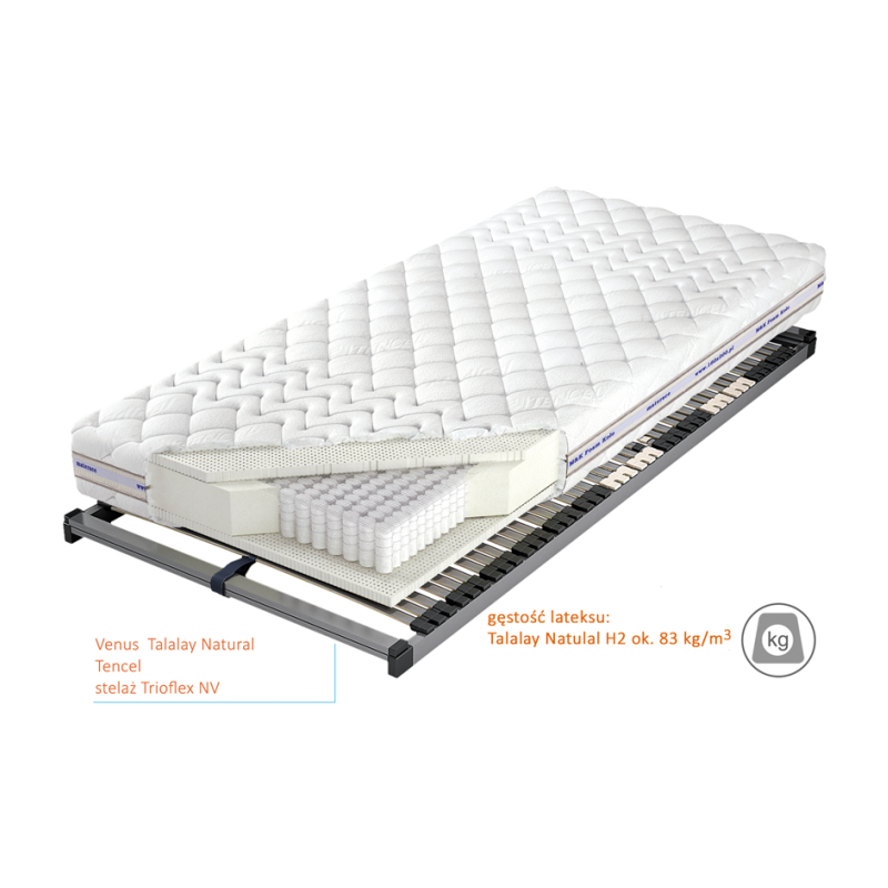 Przekrój materaca Venus Talalay Natural