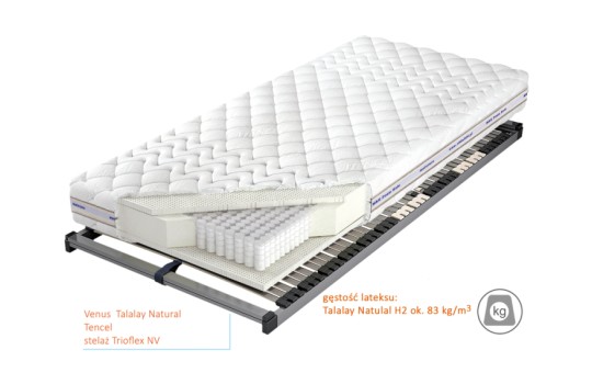Przekrój materaca Venus Talalay Natural x7