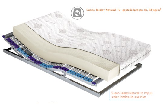 Schemat materaca Sueno Talalay Natural