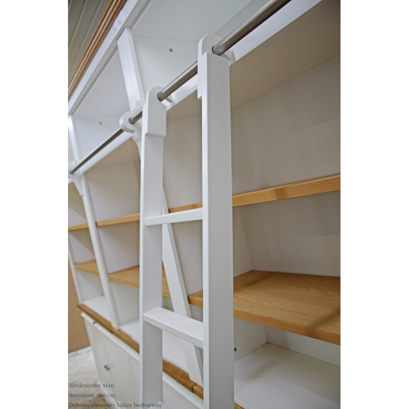 Drabinka w biblioteczce Alan