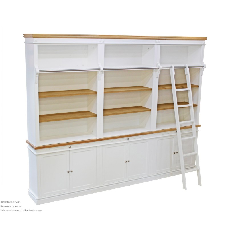 Biblioteczka z drabiną  - Alan