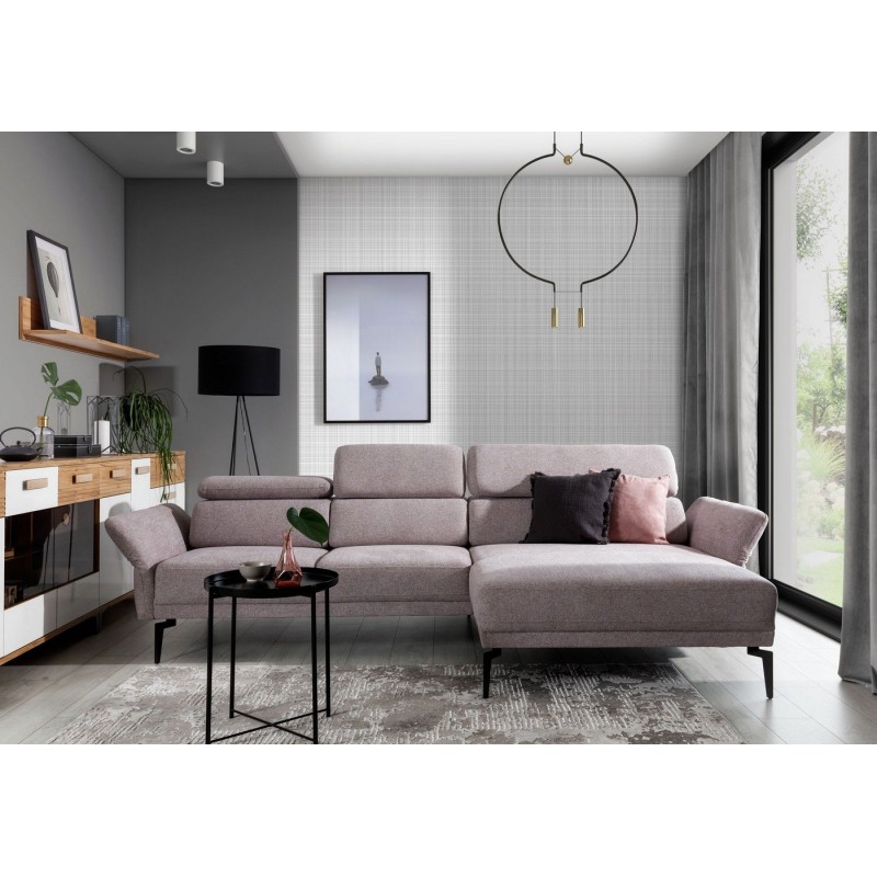 Dioletowy narożnik gobi 