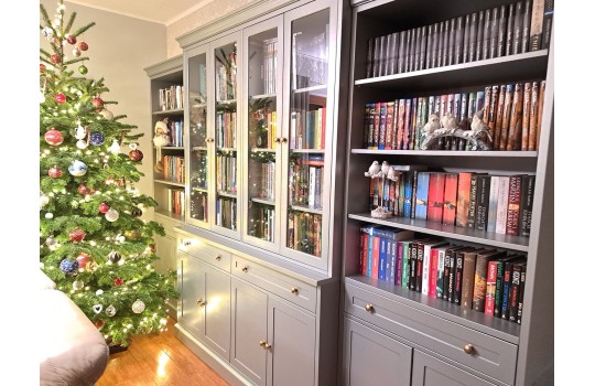 Witryna ramona według projektu