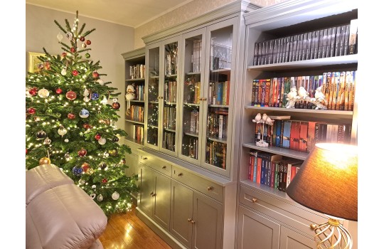 Witryna ramona według projektu