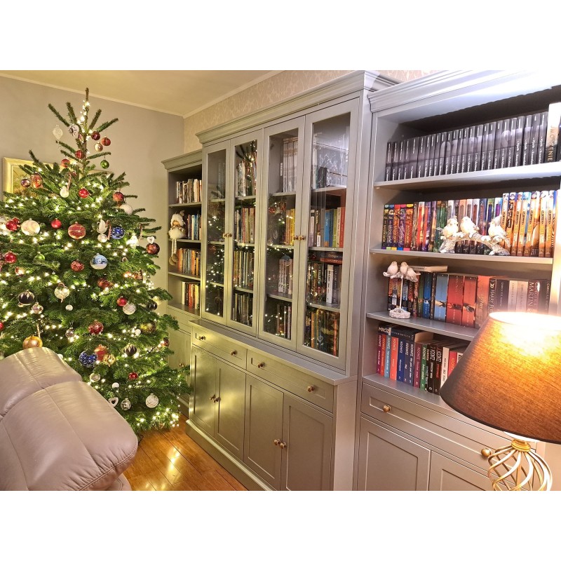 Witryna ramona według projektu