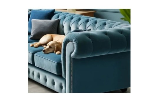 rogówka w styl chesterfield Malard 