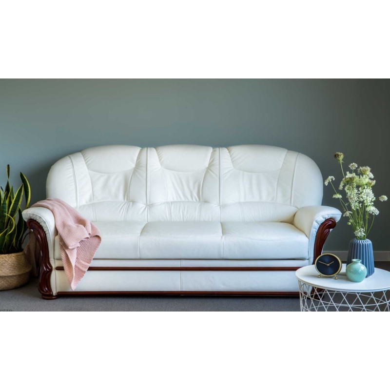 sofa Regan do salonu 