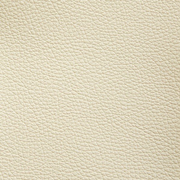 Arizona Beige butterfly