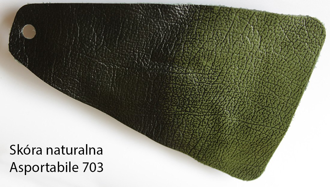 Asportabile 703