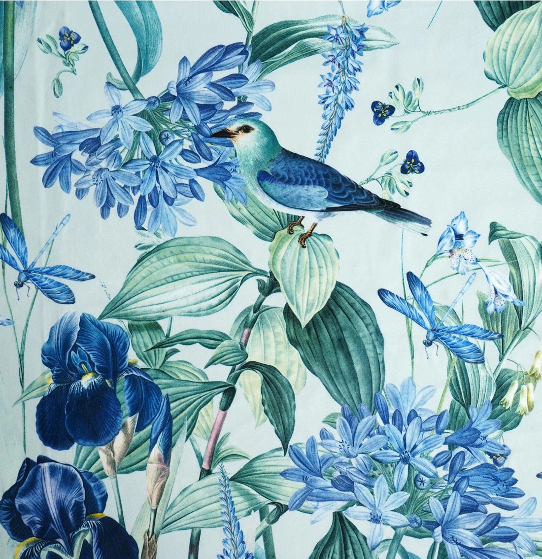 No.112 WONDER VELVET ( NIEBIESKIE IRYSY