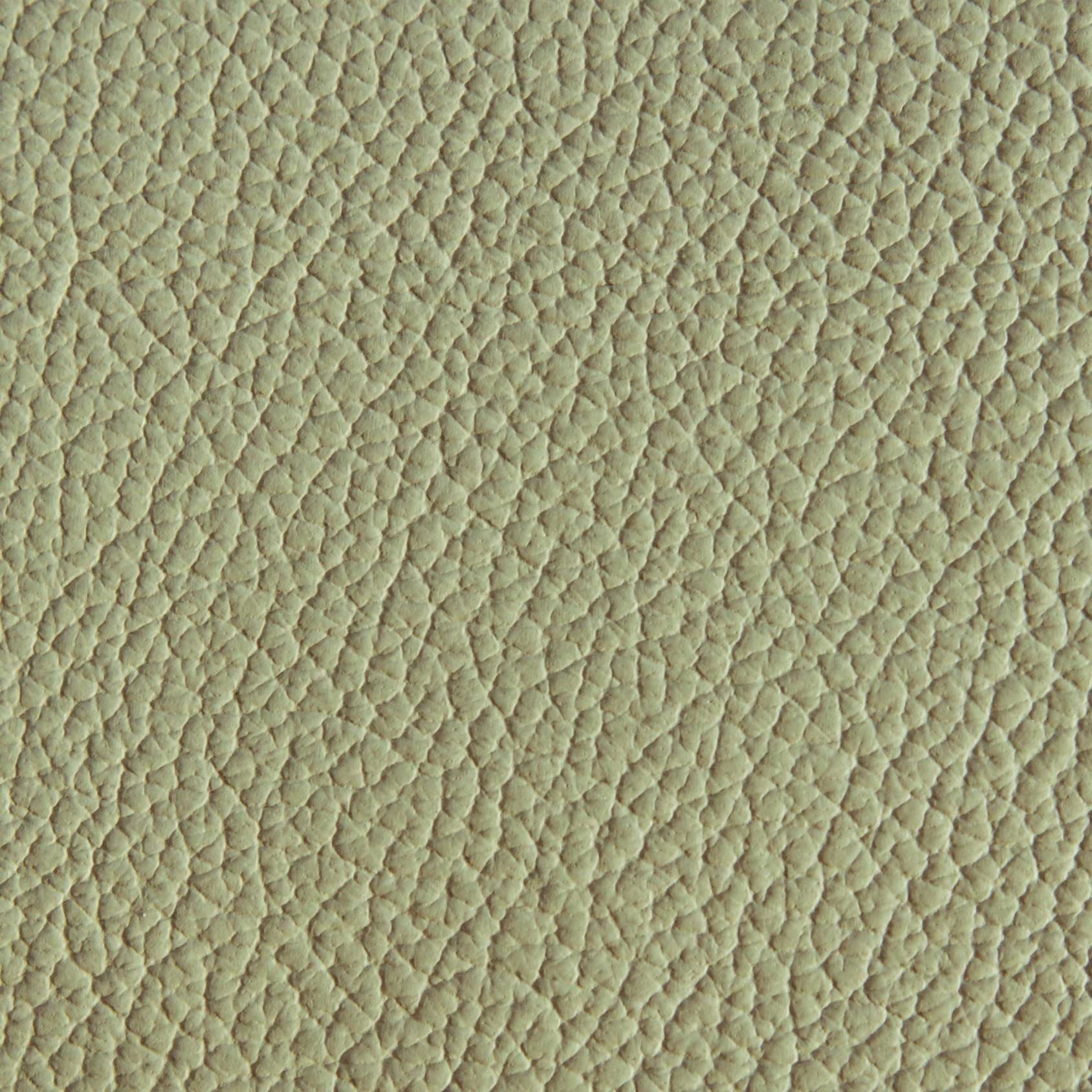 K 219 skóra bawola