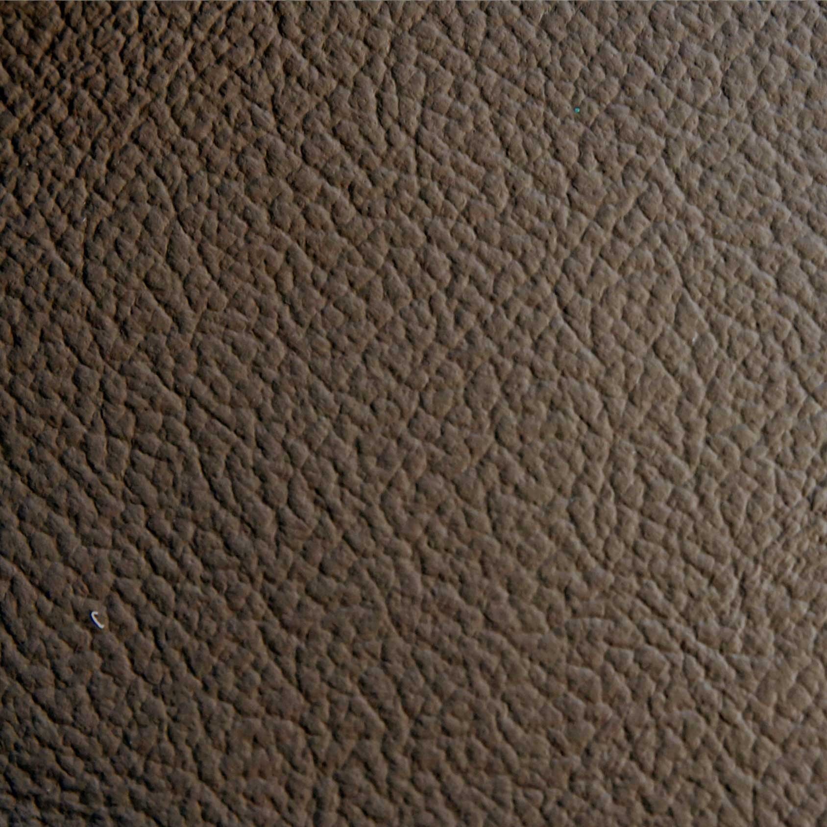 K 242 skóra bawola